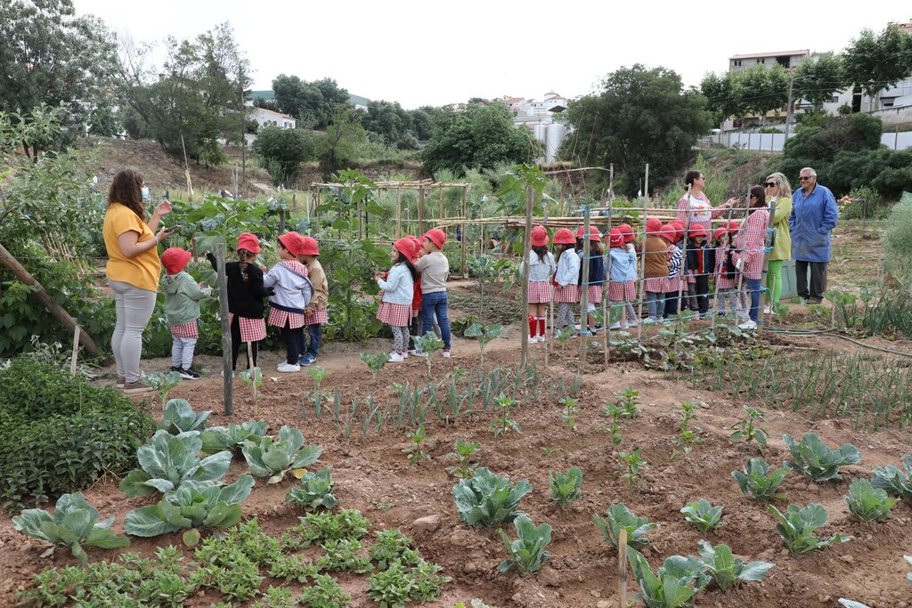 Alunos dos jardins-de-infância visitam Hortas Comunitárias 