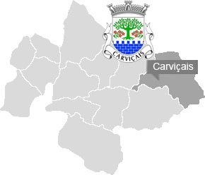 carvicais