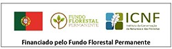 logotipo_FFP